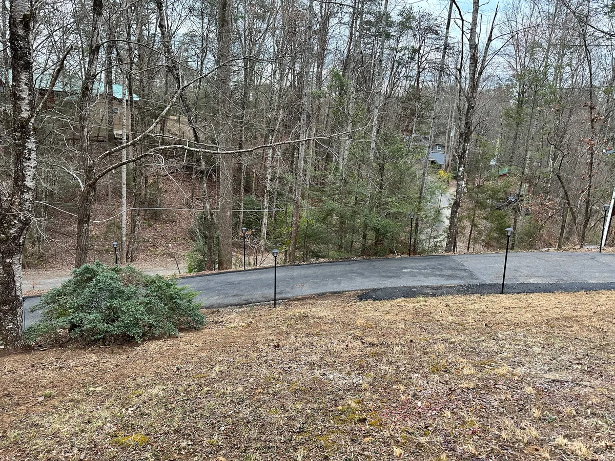 A winding driveway framed by tall trees, leading to a secluded cabin entrance. The setting is serene and enveloped in nature, emphasizing privacy and the beauty of the outdoors.